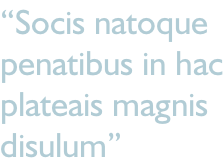 “Socis natoque penatibus in hac plateais magnis  disulum”