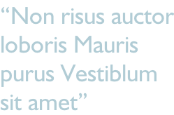 “Non risus auctor loboris Mauris purus Vestiblum sit amet”