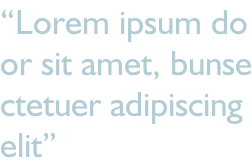 “Lorem ipsum do or sit amet, bunse ctetuer adipiscing  elit”